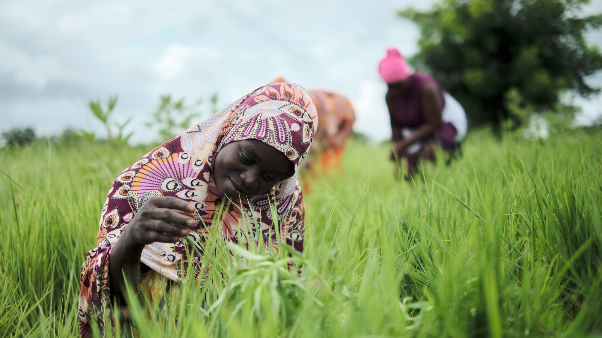 Guinée : du potentiel agricole à l’impératif de l’industrialisation locale